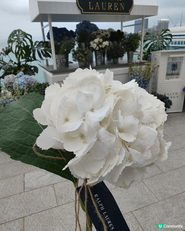 時裝品牌RALPH LAURE早前於尖沙咀海港城海洋中心4樓...