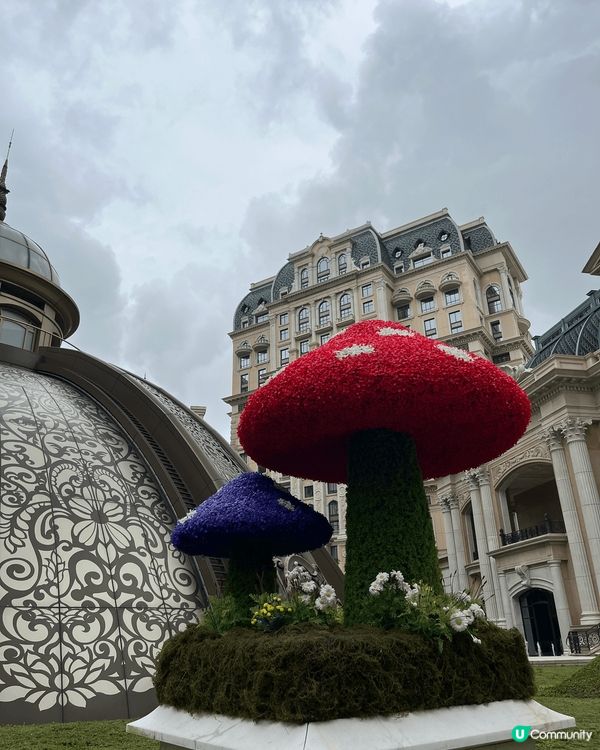 澳門上葡京的3樓綠茵勝境花園變成了愛麗絲夢遊仙境，入面有夢幻...