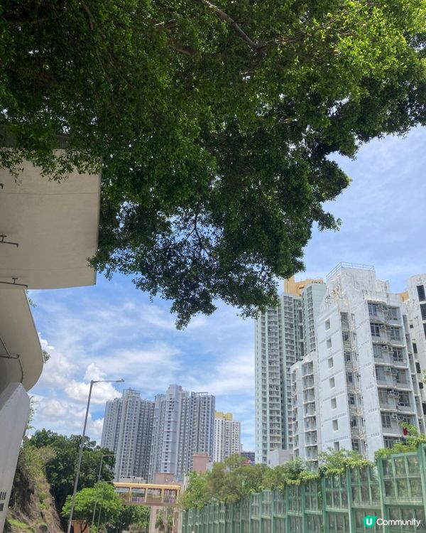 石硤尾尋寶記！竹蔗茅根水解暑 🥤😋深水埗的雲吞雞