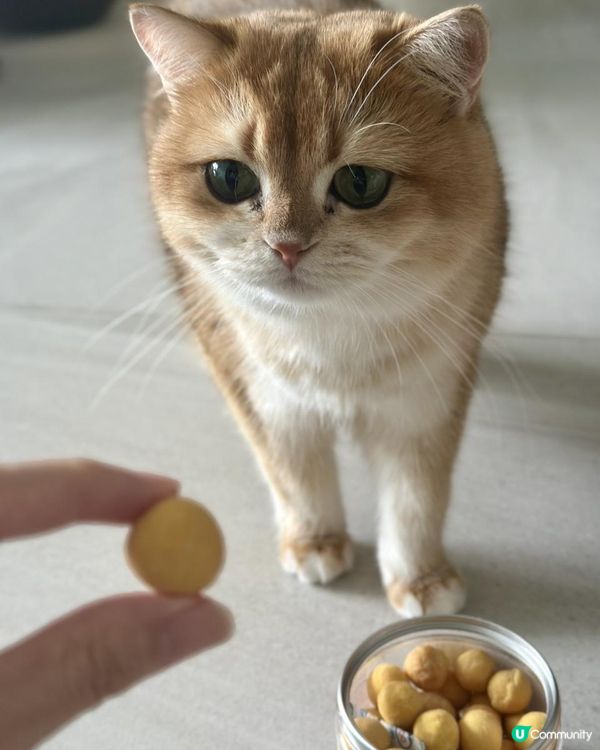 好危險呀！！慎買！！主子零食