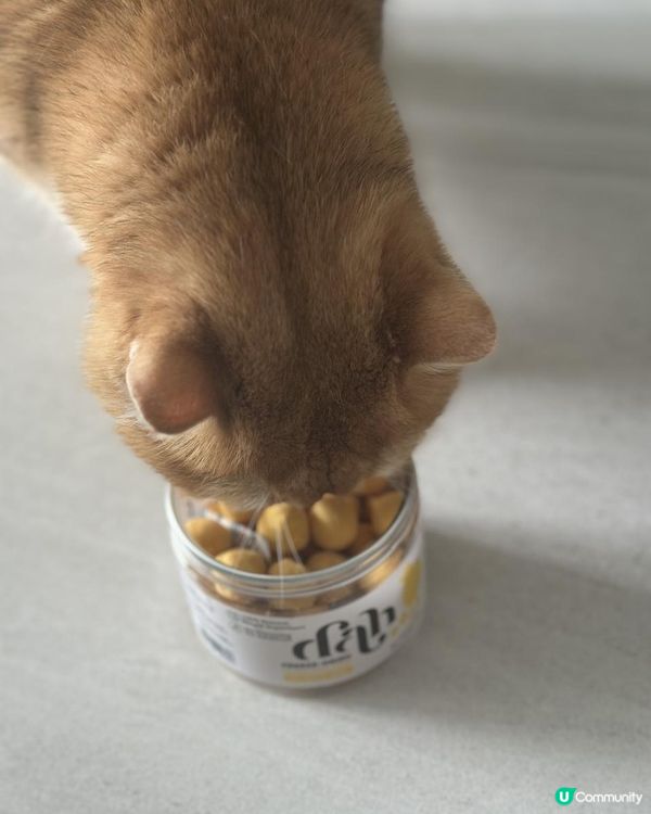 好危險呀！！慎買！！主子零食