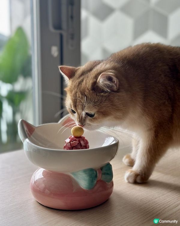 好危險呀！！慎買！！主子零食