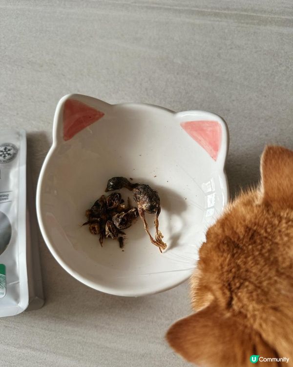 好危險呀！！慎買！！主子零食