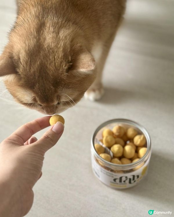 好危險呀！！慎買！！主子零食
