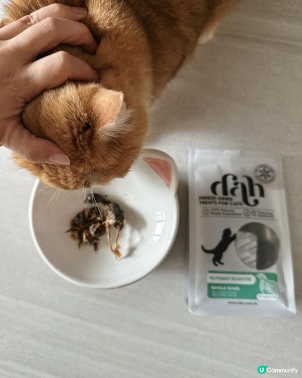 好危險呀！！慎買！！主子零食