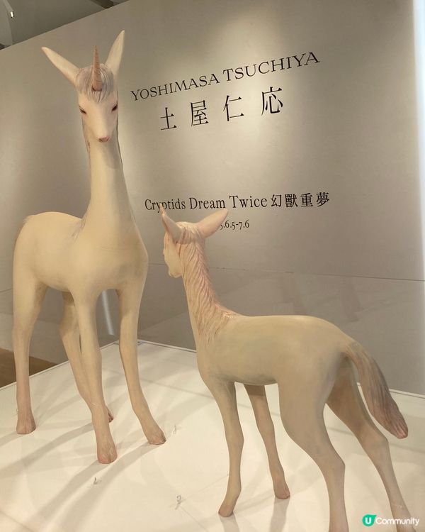 海港城的展覽以及附近的景色