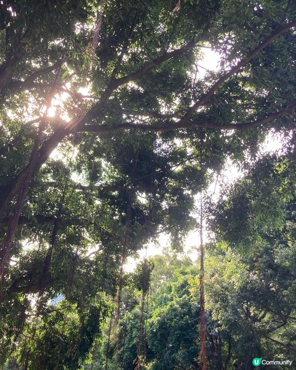 海港城的展覽以及附近的景色