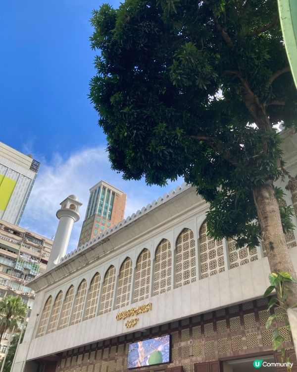 海港城的展覽以及附近的景色