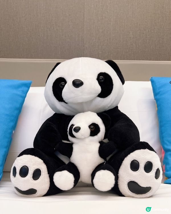 深圳酒店🏨好介紹✌🏻✌🏻