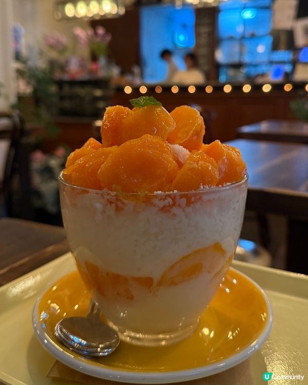 首爾必食！綿密柿子牛奶雪花冰🍧 首爾弘大必吃！😋