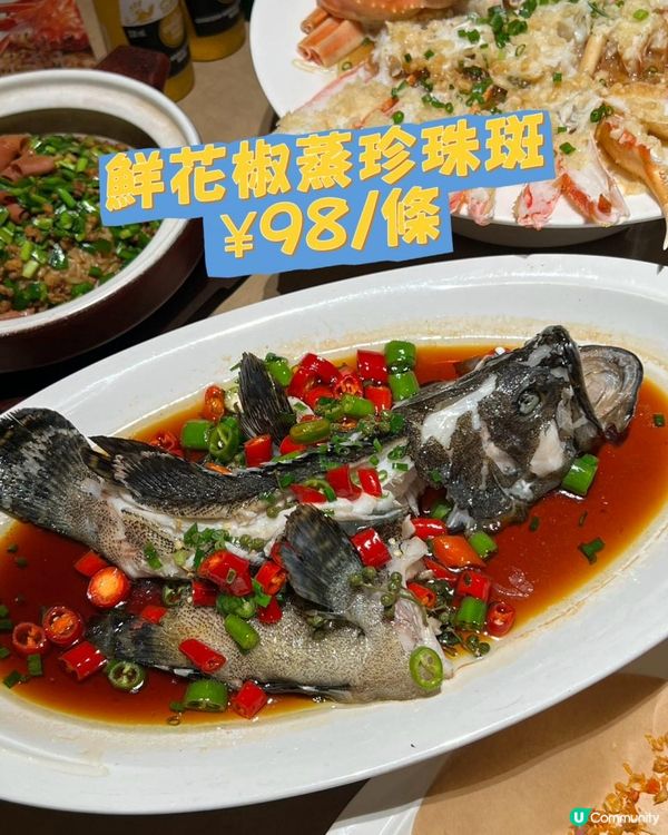 北上食海鮮🦞！人均$150+勁抵食😋！