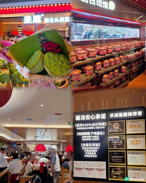 📍深圳必吃! 來菜•湖北頭牌藕湯🍲