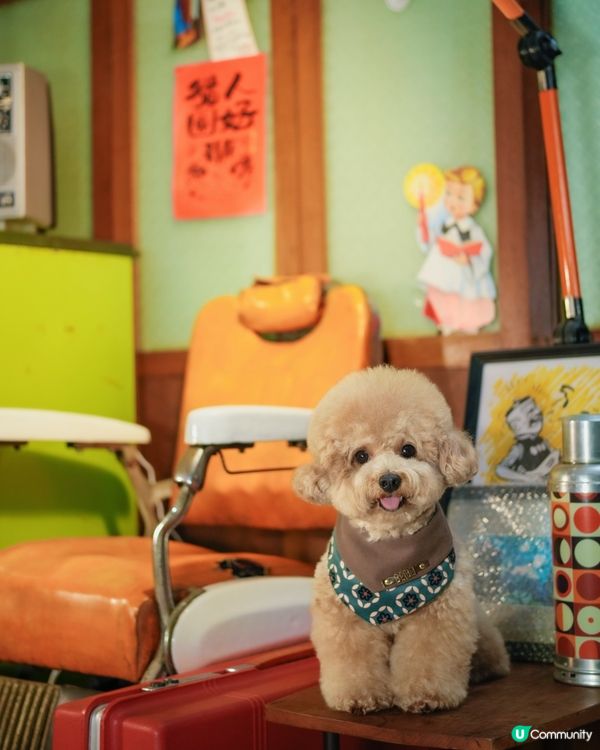 港色懷舊餐廳「老二花廳」📺☎️