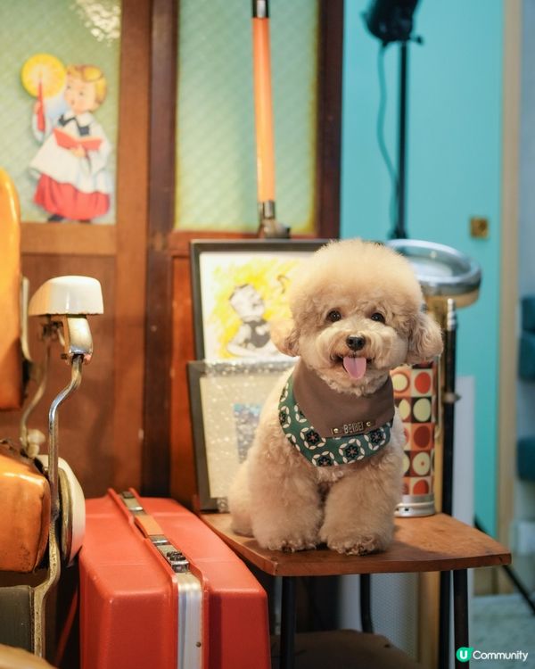 港色懷舊餐廳「老二花廳」📺☎️