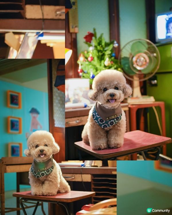 港色懷舊餐廳「老二花廳」📺☎️