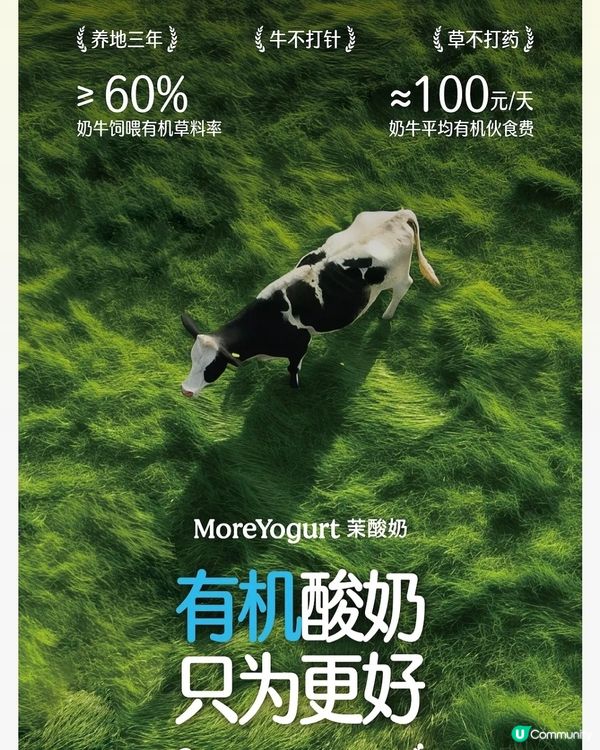 一杯等於一個牛油果🥑？？深圳新發現！😋