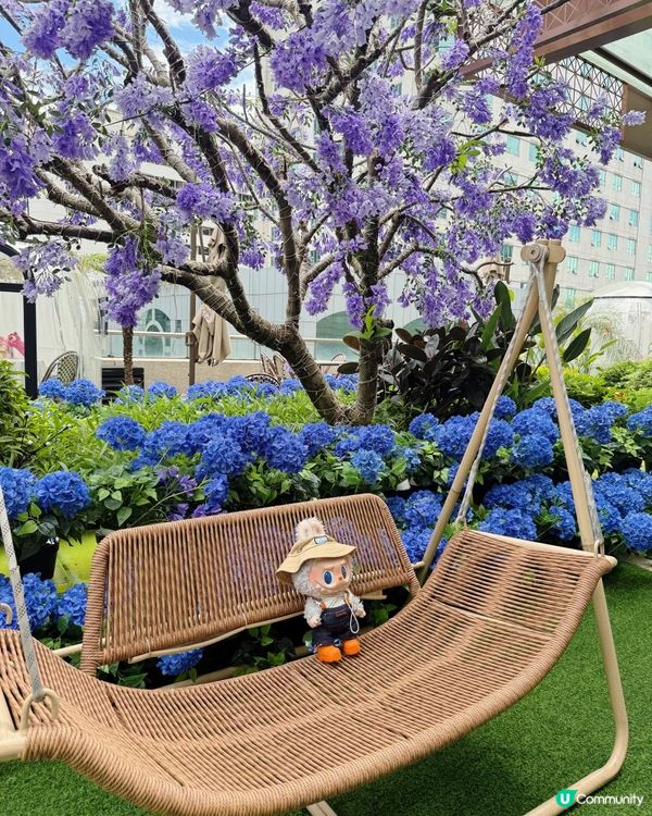 Ｉ大熱Labubu主題高質泰菜🇹🇭Ｉ閨蜜慶祝打卡必到Ｉ