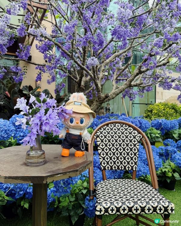 Ｉ大熱Labubu主題高質泰菜🇹🇭Ｉ閨蜜慶祝打卡必到Ｉ