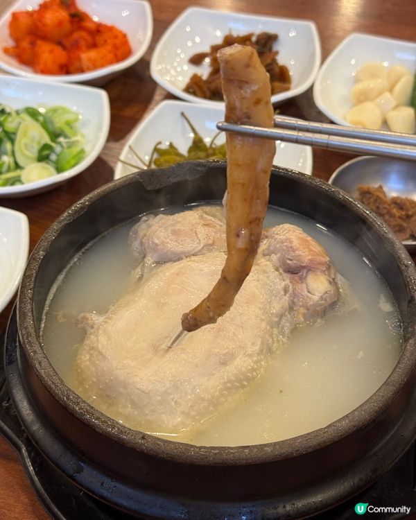 首爾CP值最高的《人蔘雞湯🐔》