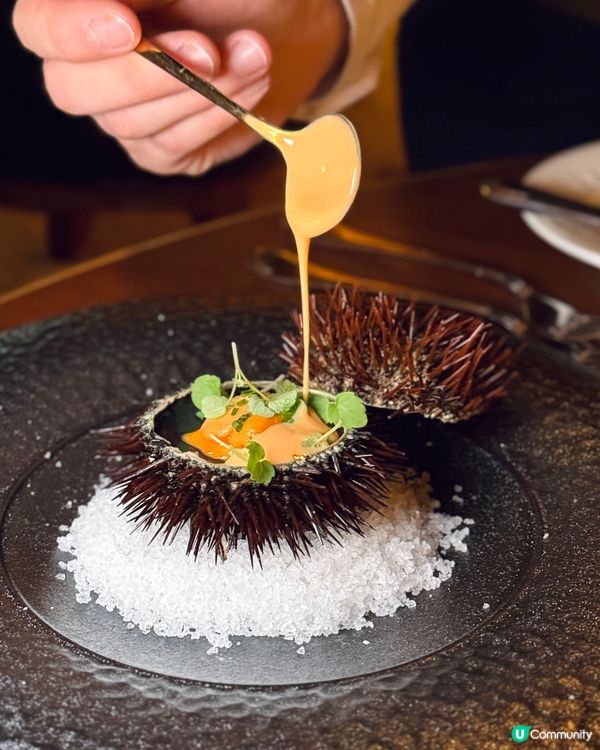 ⚜️銅鑼灣海景浪漫法國菜,貴族圖書館風情📚