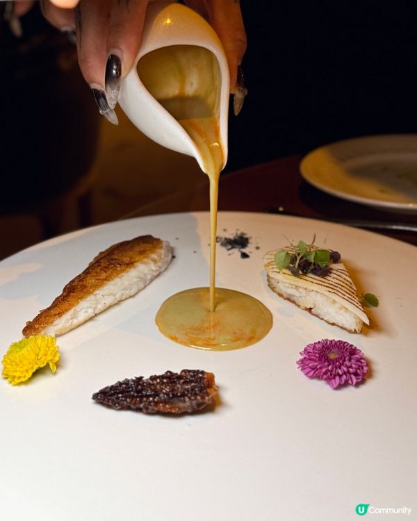 ⚜️銅鑼灣海景浪漫法國菜,貴族圖書館風情📚