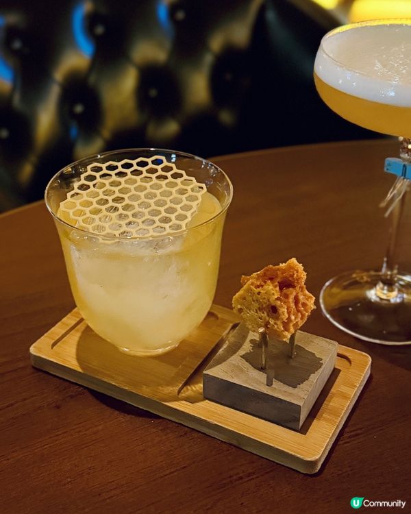 ⚜️銅鑼灣海景浪漫法國菜,貴族圖書館風情📚