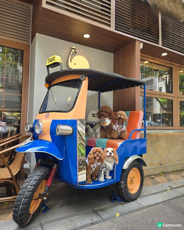 北角匯寵物友善餐廳