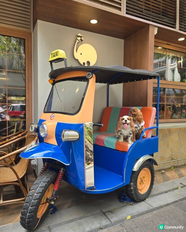 北角匯寵物友善餐廳