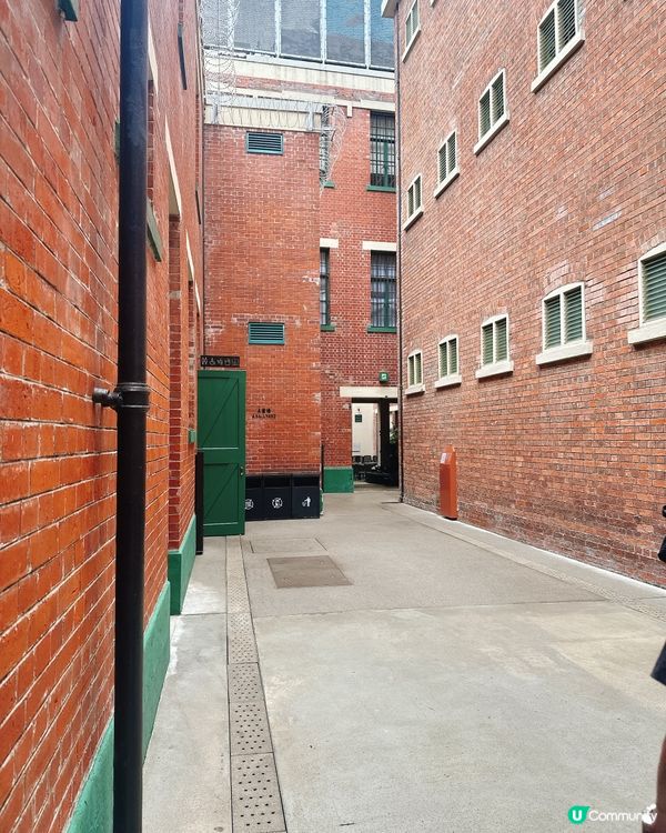 大館打卡攻略📸！必去熱點逐個數！