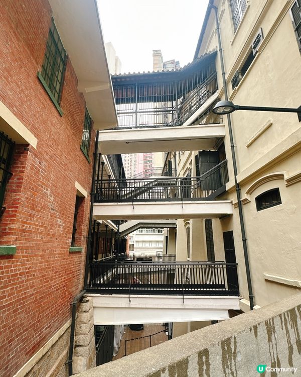 大館打卡攻略📸！必去熱點逐個數！