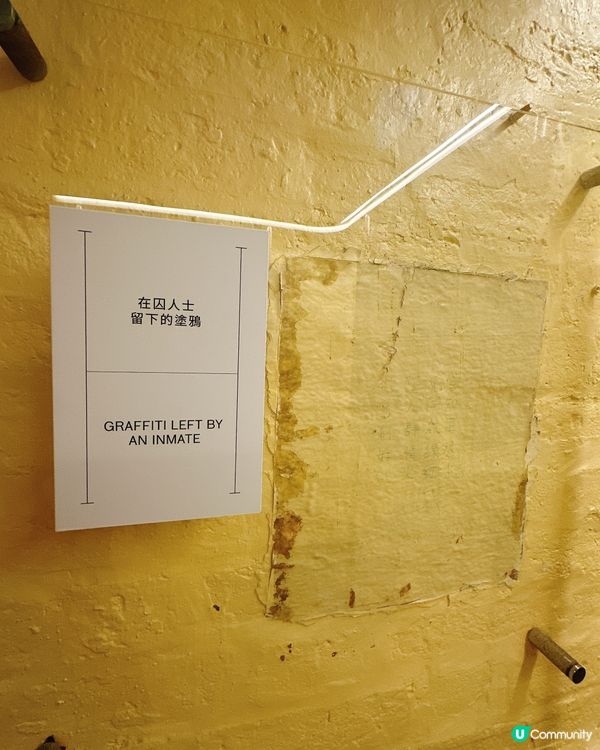 大館打卡攻略📸！必去熱點逐個數！