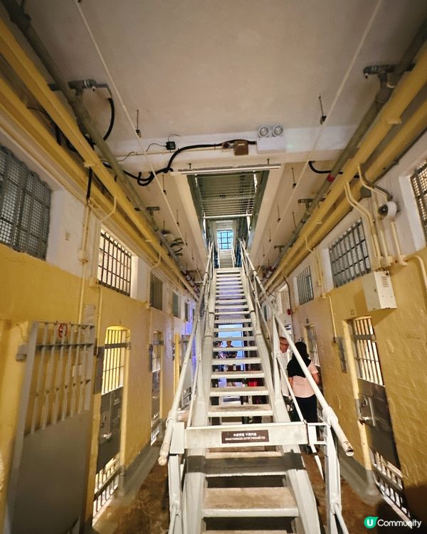 大館打卡攻略📸！必去熱點逐個數！