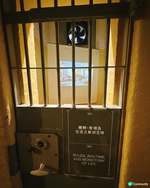 大館打卡攻略📸！必去熱點逐個數！