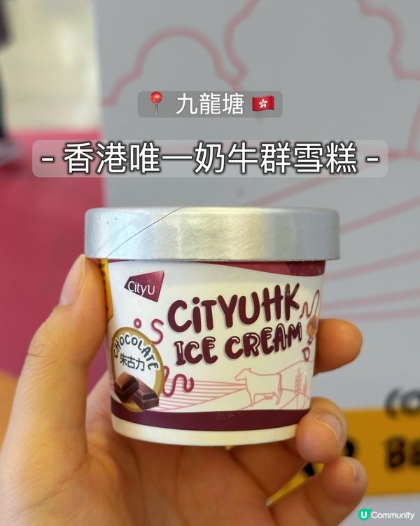 🐄香港唯一牛奶群雪糕🍦
