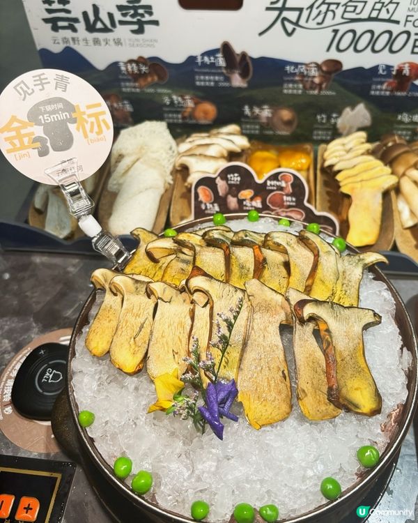 芸山季雲南菌鍋🤤深圳必食！🍄