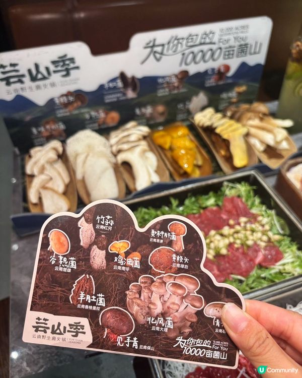 芸山季雲南菌鍋🤤深圳必食！🍄