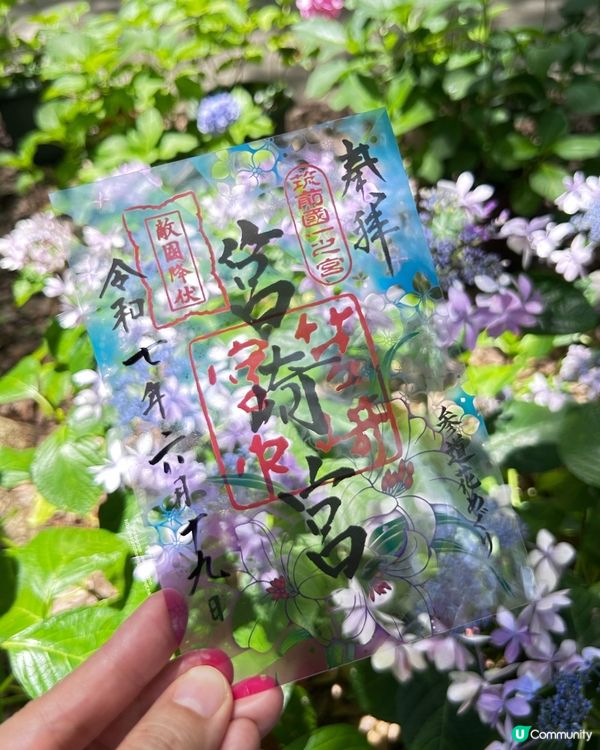 好靚的紫陽花 💕 透明御朱印 