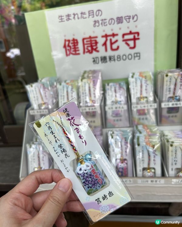 好靚的紫陽花 💕 透明御朱印 