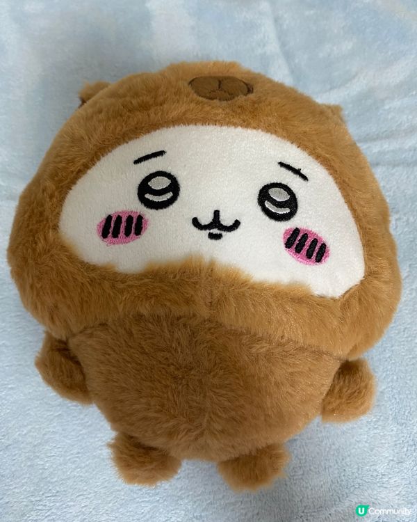 歡迎關注我嘅戶口､訂閱我嘅YouTube頻道, follow...