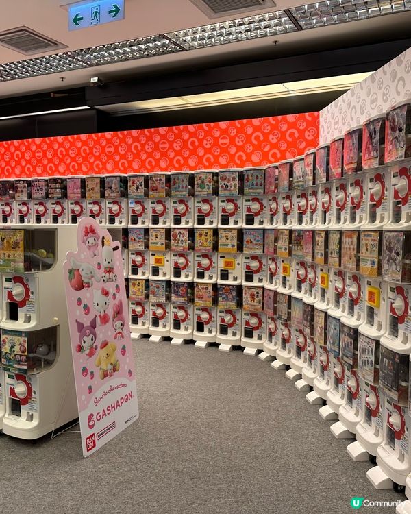 Sanrio × C.T.A. by GOK SIK