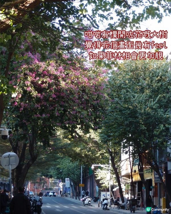 廣州壁畫街打卡📸