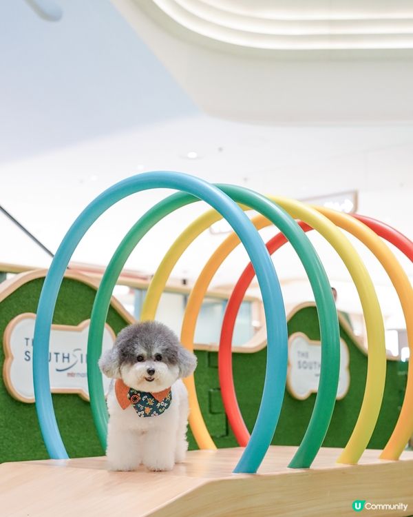 / 最貼心貓狗友善空間 🌟 / 