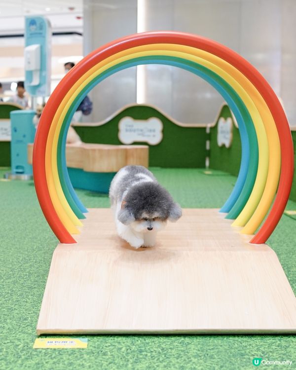 / 最貼心貓狗友善空間 🌟 / 