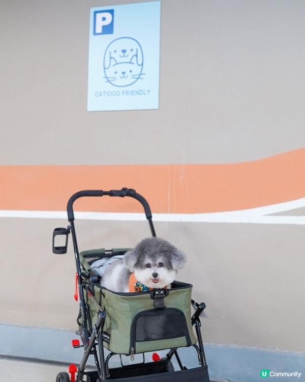 / 最貼心貓狗友善空間 🌟 / 