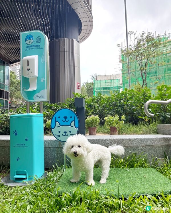 南區小狗分享post 💚