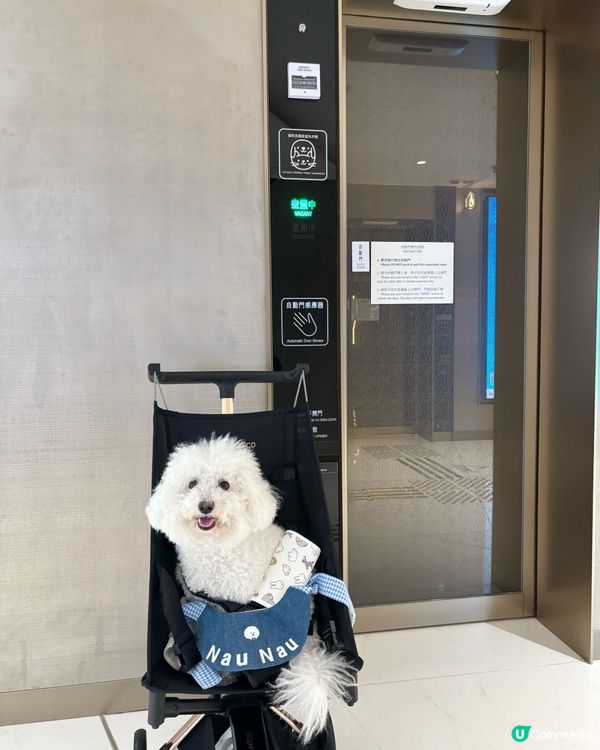 南區小狗分享post 💚