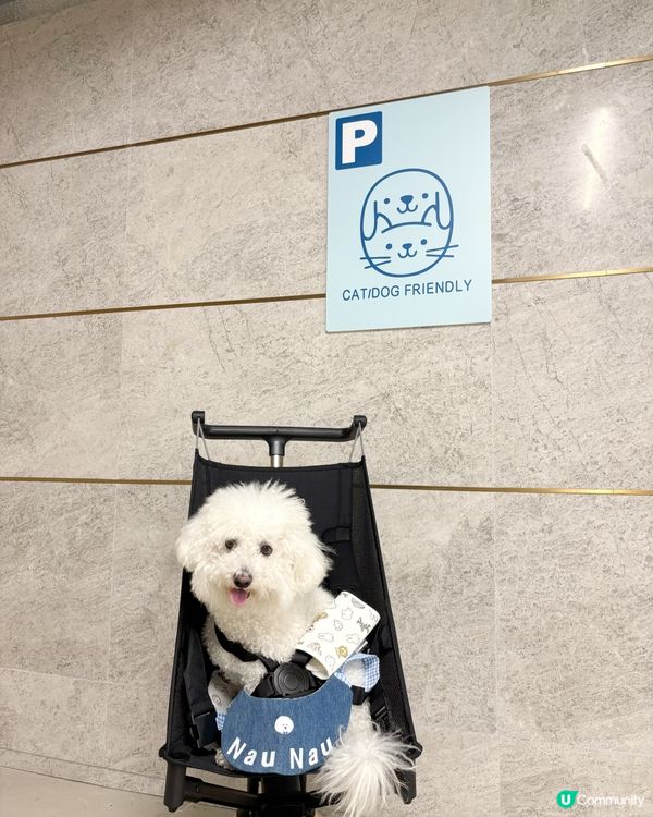 南區小狗分享post 💚