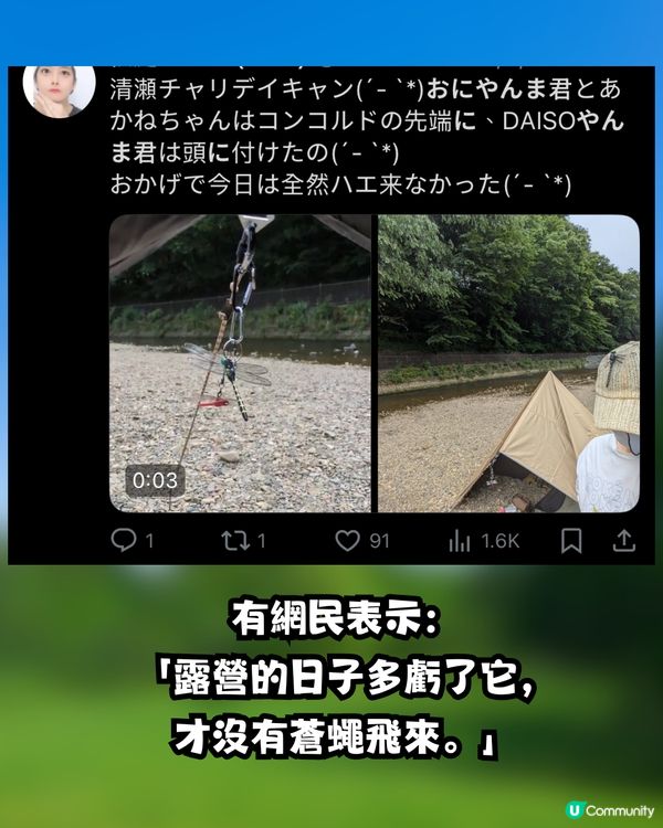 日本驅蟲神器 「稻草蜻蜓」爆賣200萬個！不含化學成分 背後原理竟是謎？