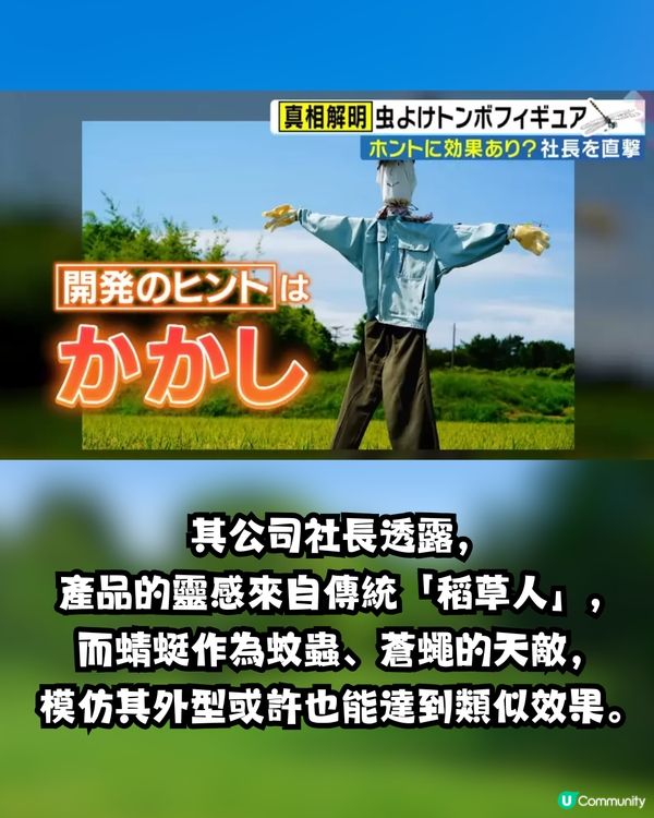 日本驅蟲神器 「稻草蜻蜓」爆賣200萬個！不含化學成分 背後原理竟是謎？