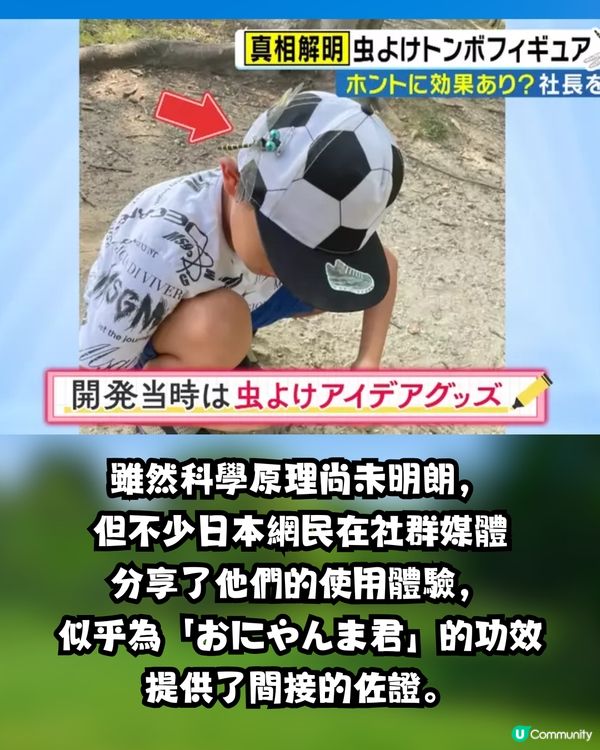 日本驅蟲神器 「稻草蜻蜓」爆賣200萬個！不含化學成分 背後原理竟是謎？